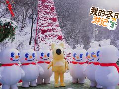 -少华山国家森林公园