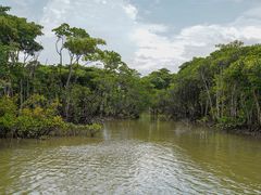 -东寨港红树林旅游区