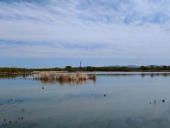-野鸭湖国家湿地公园