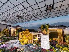 -杭州植物园