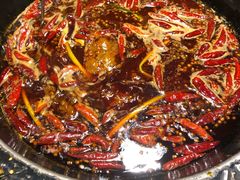 -蜀大侠火锅(建设路第五大道店)