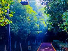 -西安汉城湖景区