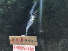 -望天鹅景区