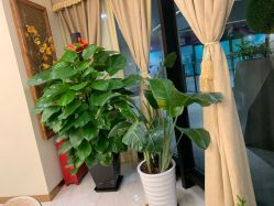 -芳朵美容养生SPA