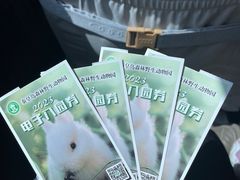 -秦皇岛野生动物园