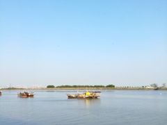 -大湾区中央湿地公园-十九涌