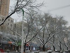-自然之声助听器(平凉店)