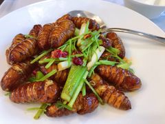 -南山鲜虾面·活鲜小馆·海味大连菜(南山总店)