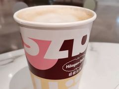 -哈根达斯(芳圆里店)