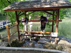 -陶祖圣境风景区