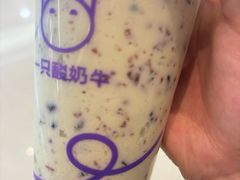 -一只酸奶牛(兰州中心店)
