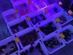 -宝鸡东道花鸟鱼虫市场(吉利花园商场店)