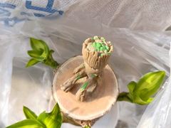 -花鸟鱼虫鲜花绿植市场(玉泉路店)