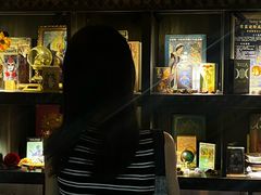 -雪灵魔法世界SHELLY’S TAROT(大良桂畔里店)