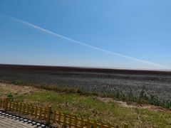 -红海滩国家风景廊道
