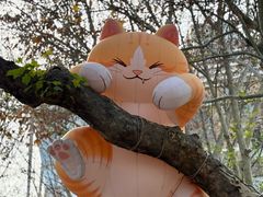 -西安电影制片厂