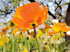 -名花谷生态庄园