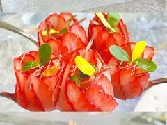 -九献·创意菜(亮马河饭店)