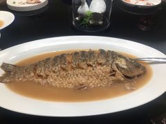 红烧黄河大鲤鱼-阿庄新豫菜(航海东路店)