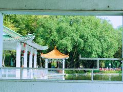 -荔湾湖公园