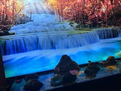 -大桶大足浴(宝山店)