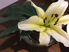 -赤火牛排(金狮广场店)