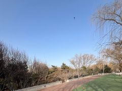 -大兴滨河森林公园