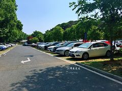 场地-东湖磨山景区樱花园-停车场