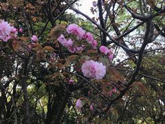 -新太二·鲜料川菜(晶耀前滩店)