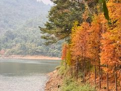 -广州市石门国家森林公园