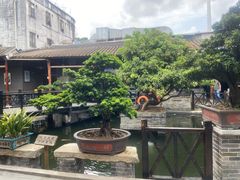 景观位-猪肉婆私房菜(容桂总店)
