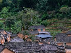-杨家堂村