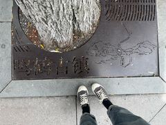 -鸣鹤古镇