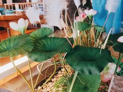 -荷塘秋月·本帮江浙菜(国权路店)