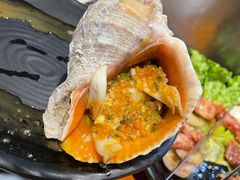 朝鲜海螺-丹东特色烤肉(学府路一部店)