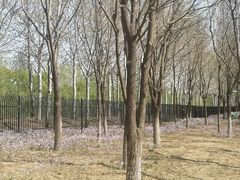-东郊湿地公园