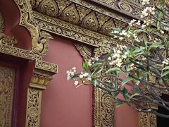 -西双版纳总佛寺