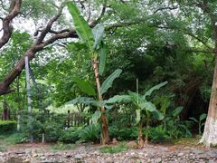 -八大山人梅湖景区