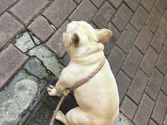 -一坐一忘云南菜(嘉里中心店)