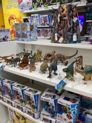 -kidsland(上海环球港店)