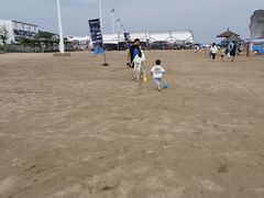 -碧海金沙