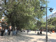 -哈尔滨极乐寺