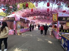 -南汇桃花村