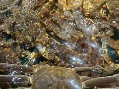 -龙宴海鲜城(经中路店)