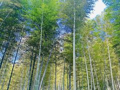 -黄公望隐居地
