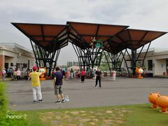 -上海长兴岛郊野公园