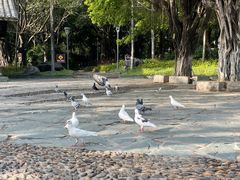 -厦门园林博览苑