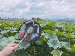 -杭州西湖风景名胜区-北街寻梦