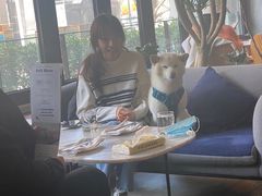 -the rug 飞毯 (朝阳公园店)