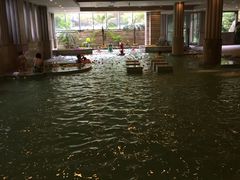 -鱼凫国都大酒店温泉